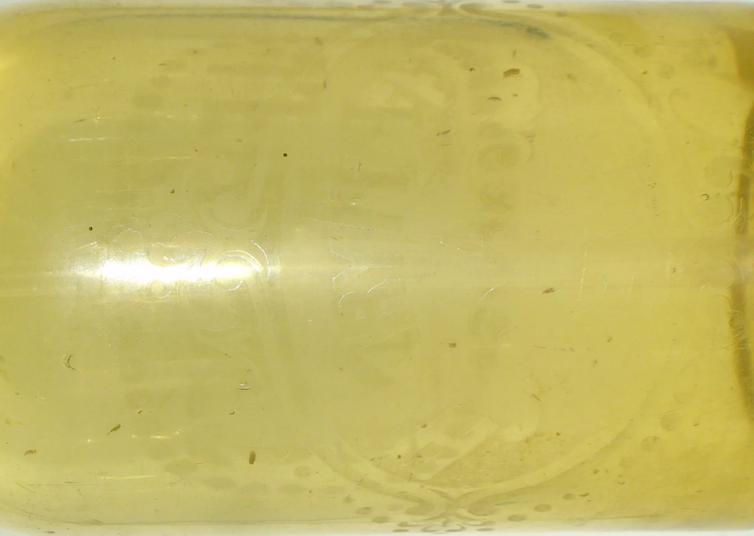H196CFDSC02348