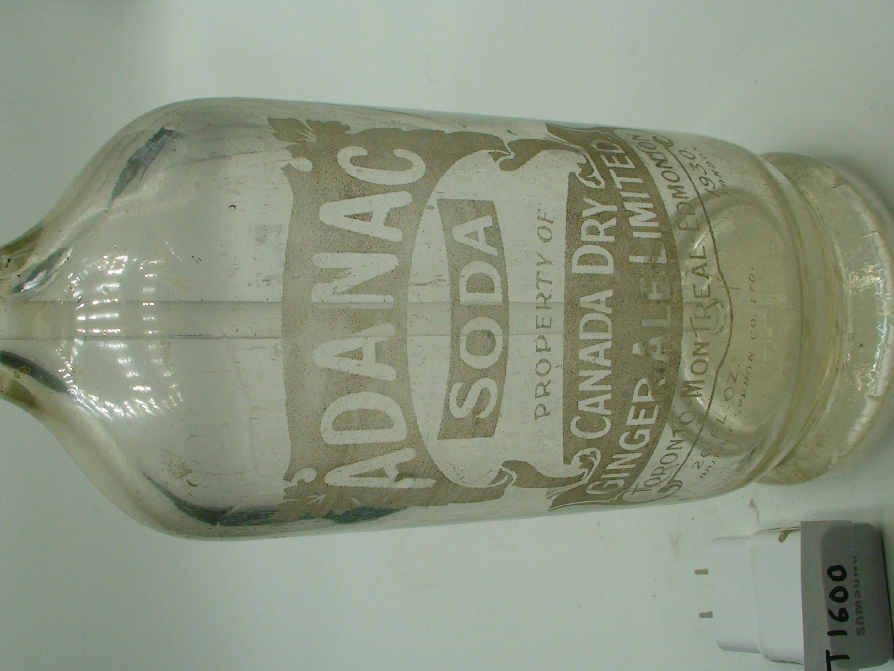 DSC07495