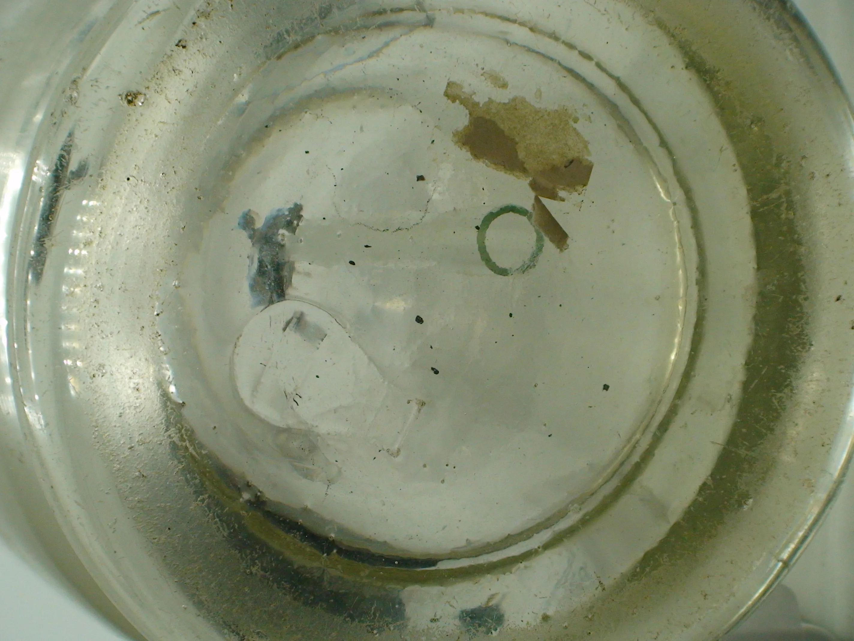 DSC02045